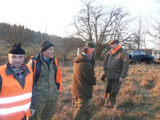 Polow. Zarzadow Odyniec 2008